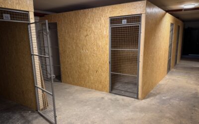 Vermietung von Storage Boxen